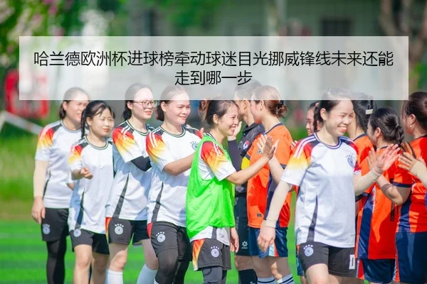 哈兰德欧洲杯进球榜牵动球迷目光挪威锋线未来还能走到哪一步